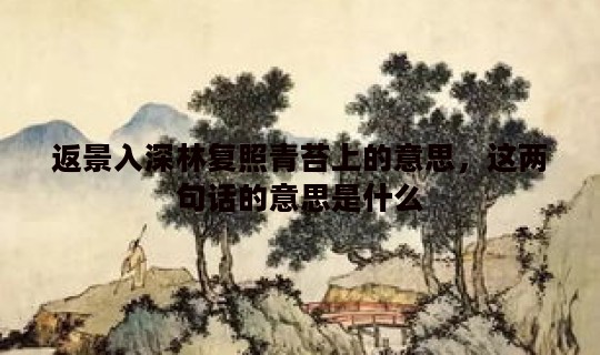返景入深林复照青苔上的意思，这两句话的意思是什么