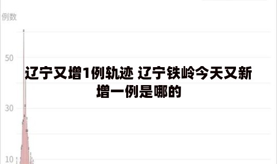 辽宁又增1例轨迹 辽宁铁岭今天又新增一例是哪的
