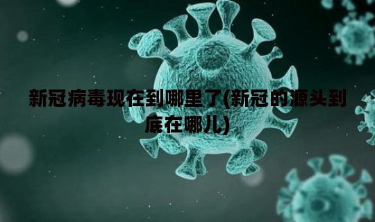 新冠病毒现在到哪里了(新冠的源头到底在哪儿)