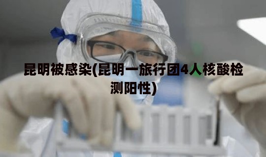 昆明被感染(昆明一旅行团4人核酸检测阳性)