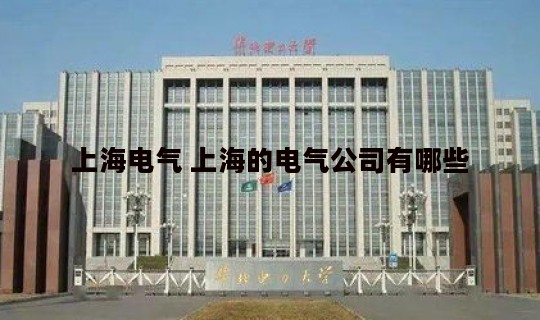 上海电气 上海的电气公司有哪些