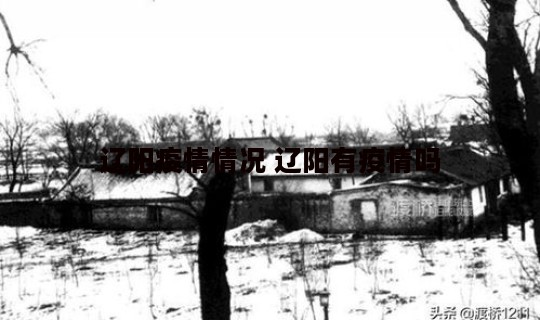 辽阳疫情情况 辽阳有疫情吗