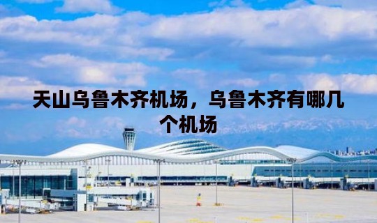 天山乌鲁木齐机场，乌鲁木齐有哪几个机场