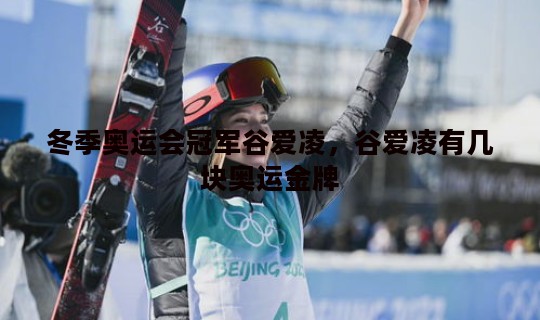 冬季奥运会冠军谷爱凌，谷爱凌有几块奥运金牌
