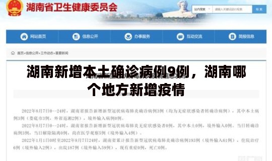 湖南新增本土确诊病例9例，湖南哪个地方新增疫情
