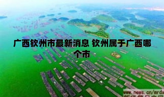 广西钦州市最新消息 钦州属于广西哪个市