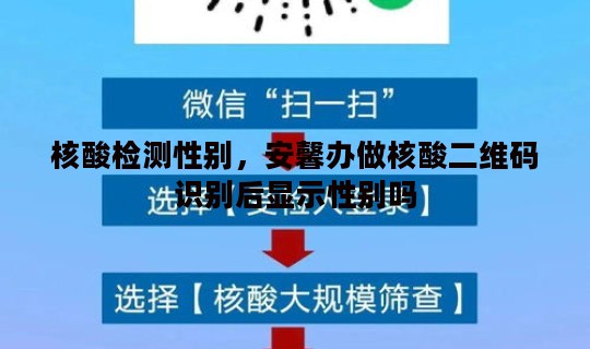 核酸检测性别，安馨办做核酸二维码识别后显示性别吗