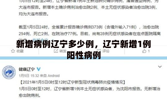 新增病例辽宁多少例，辽宁新增1例阳性病例