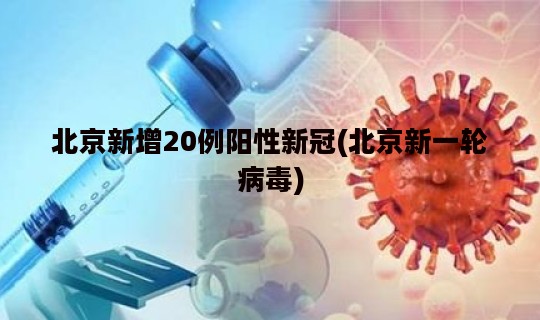 北京新增20例阳性新冠(北京新一轮病毒)