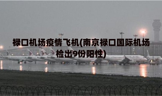 禄口机场疫情飞机(南京禄口国际机场检出9份阳性)