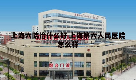 上海六院治什么好 上海第六人民医院怎么样