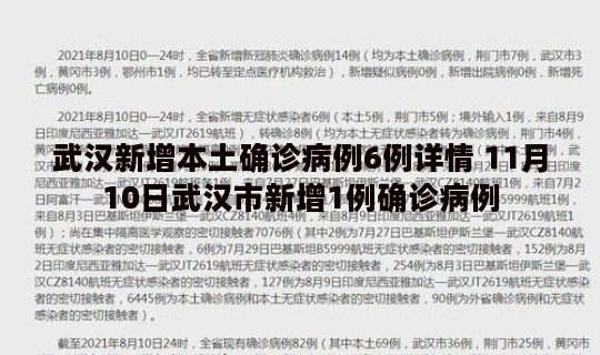 武汉新增本土确诊病例6例详情 11月10日武汉市新增1例确诊病例