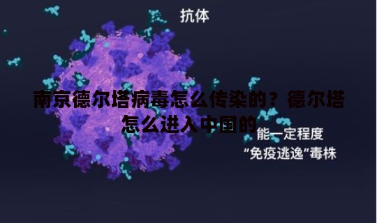 南京德尔塔病毒怎么传染的？德尔塔怎么进入中国的