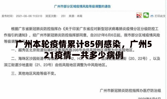广州本轮疫情累计85例感染，广州521疫情一共多少病例