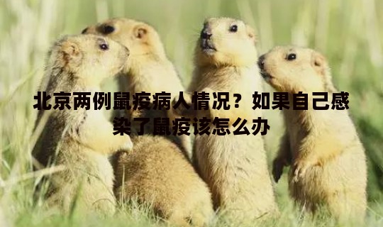 北京两例鼠疫病人情况？如果自己感染了鼠疫该怎么办