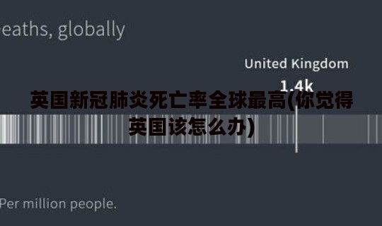 英国新冠肺炎死亡率全球最高(你觉得英国该怎么办)