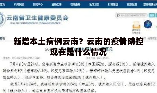 新增本土病例云南？云南的疫情防控现在是什么情况
