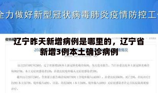 辽宁昨天新增病例是哪里的，辽宁省新增3例本土确诊病例