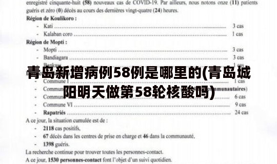 青岛新增病例58例是哪里的(青岛城阳明天做第58轮核酸吗)