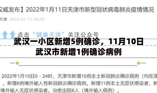 武汉一小区新增5例确诊，11月10日武汉市新增1例确诊病例