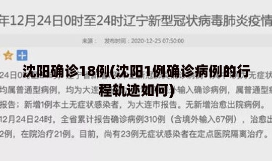 沈阳确诊18例(沈阳1例确诊病例的行程轨迹如何)