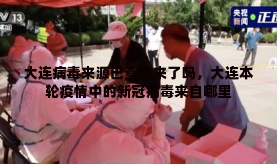 大连病毒来源已查出来了吗，大连本轮疫情中的新冠病毒来自哪里