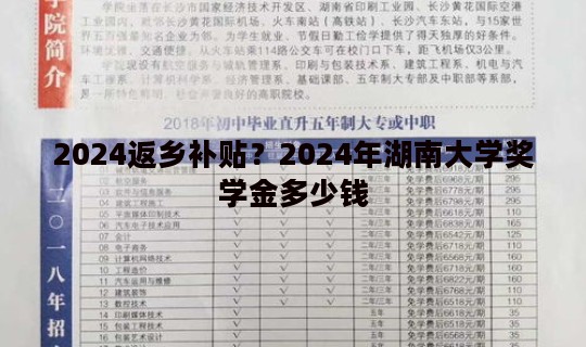 2024返乡补贴？2024年湖南大学奖学金多少钱
