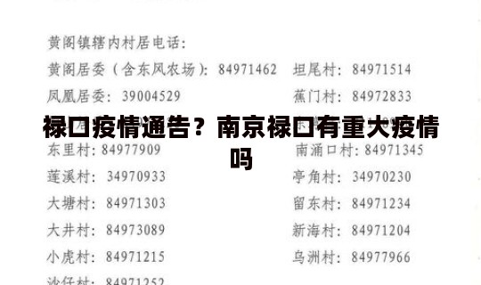 禄口疫情通告？南京禄口有重大疫情吗