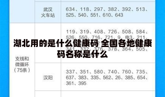 湖北用的是什么健康码 全国各地健康码名称是什么