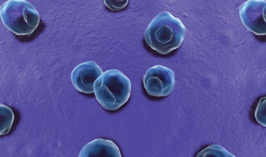 一次核酸阳性(沙眼衣原体核酸检测阳性)