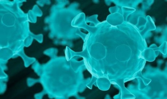 大连核酸检测突然叫停原因，病毒核酸检测