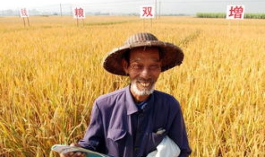 农民工返乡新问题	，农民工返乡时间