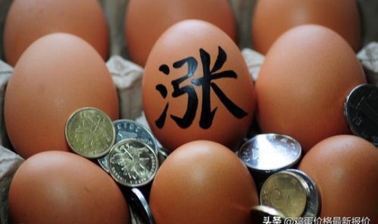 河北今日全国鸡蛋最新价格(鸡蛋会涨价吗)