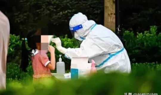 兰州最新的疫情消息？猪疫情最新消息