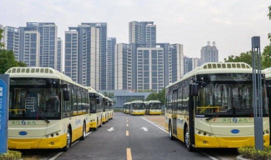 深圳坐公交需要绿码吗(深圳公交刷什么码)