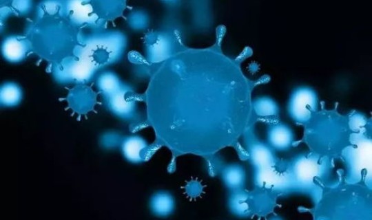 新冠病毒到底哪里出来的(新冠究竟是哪里来的)