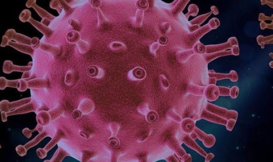 新冠肺炎美国死亡率(新冠病毒源头是哪个国家)