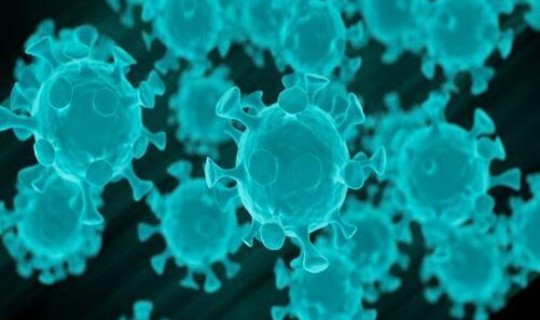 病毒传几代(前几年叫什么病毒)