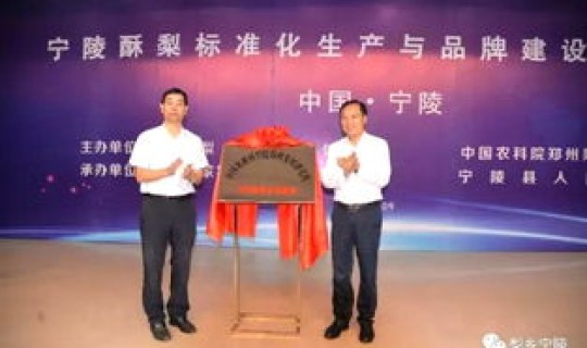 宁陵最新消息，宁陵新闻最新