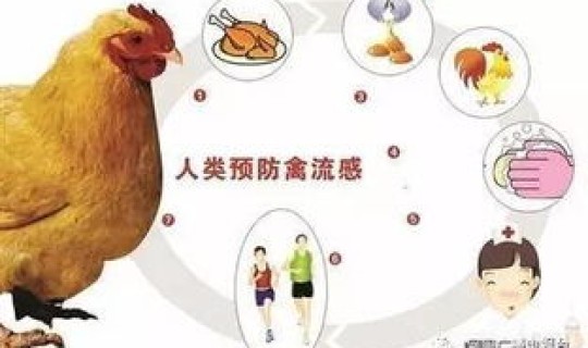 上海再次出现h7n9流感，h7n9禽流感是哪一年
