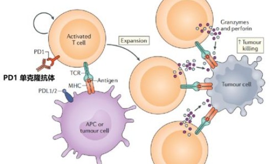 现在坐火车用核酸检测吗 核酸检测为什么不能排除hiv