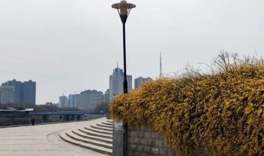 菏泽疫情最新情况最新消息，菏泽疫情