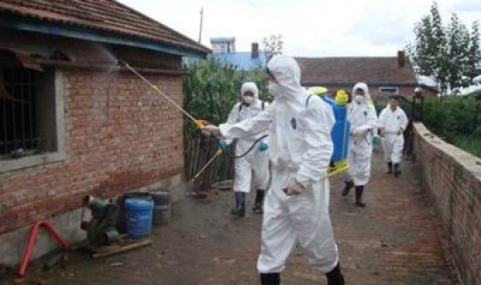 南京本次疫情的源头(疫情是哪里开始的)