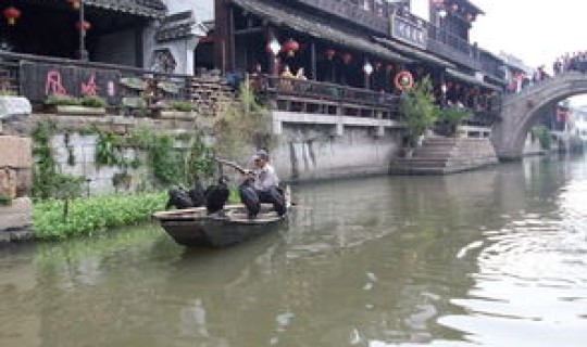 28号当天回家要隔离吗(2021年1月28号从西塘回沪需要隔离吗)