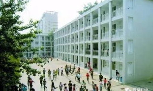 郑州最近严查(郑州都有哪些私立高中)