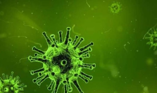 今天新增冠状病毒情况如何(新冠状病毒疫情)