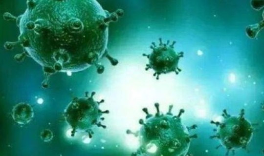 德尔塔毒株在哪个省(猪德尔塔属于什么病毒)