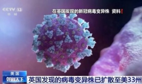 英国的新冠病毒疫情，英国新冠