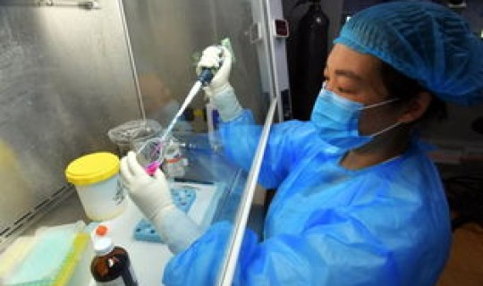 上海浦东疫情感染源，上海传染病疫情通报