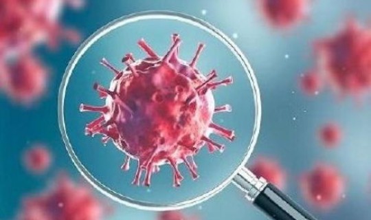 上海新型冠状病毒到今天有多少人，上海新冠病毒什么时候开始的